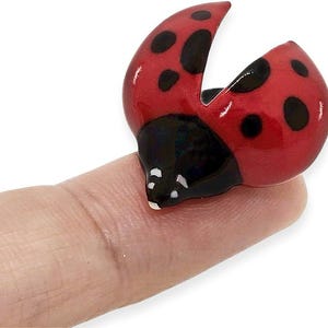 May include: A small, glossy ladybird figurine featuring a vibrant red body with distinct black spots and a solid black head. The wings are slightly parted, revealing a smooth, rounded surface. The object is crafted with a polished finish.