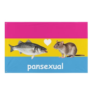 Pode incluir: Uma bandeira do orgulho pansexual com um esquema de cores rosa, amarelo e azul. Um peixe e um rato são mostrados frente a frente com um coração branco entre eles. O texto "pansexual" está impresso em branco na faixa azul.
