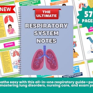 Respiratory System Nursing Study Guide: Anatomy, Disorders (Digital Download)