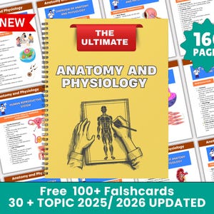 Bundel Anatomie en Fysiologie met Flashcards | Studiegids Anatomie | Verpleegkundige schoolnotities | Medische informatie | Pdf direct downloaden geüpdatet