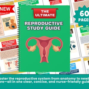 Notes sur les soins infirmiers en matière d&#39;appareil reproducteur : Guide Med-Surg (imprimable et numérique)