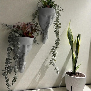 Peut inclure: Deux jardinières murales grises en forme de visages avec un doigt sur les lèvres, contenant des plantes vertes et colorées. Un sansevieria en pot blanc avec des feuilles bordées de jaune se trouve à proximité. Les jardinières ajoutent une touche unique.