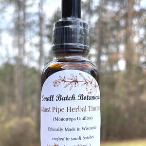 Ghost Pipe Tincture, Indian Pipe, Northern Wisconsin Wild Grown