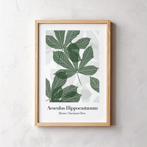 Chestnut Tree Leaf Print – Horse Chestnut tree | Botanical Digital Download