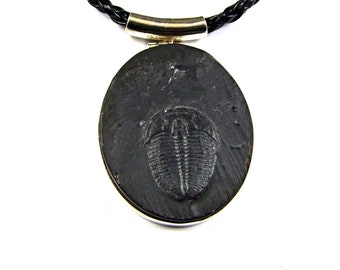 Trilobite Sterling Silver Pendant - N995