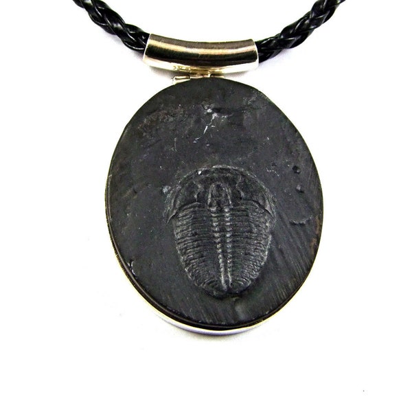 Trilobite Sterling Silver Pendant - N995