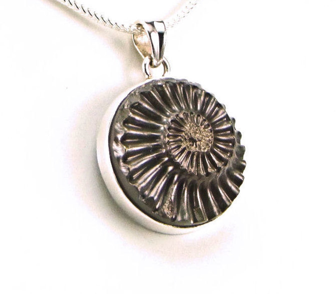 •PYRITIZED AMMONITE• sterling silver pendant