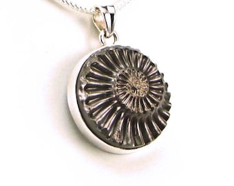 Pyritized Jurassic Ammonite Sterling Silver Pendant - N816