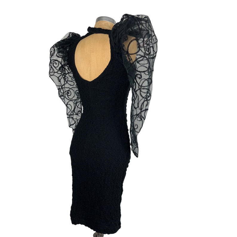 May include: A black dress with a fitted bodice and a slightly flared skirt. The dress has large, puffed sleeves made of sheer black fabric with an embroidered design.