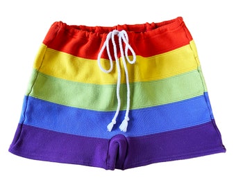 1970s Rainbow Wide Striped Swim Shorts Swim Briefs Pride Short Shorts / Size Small