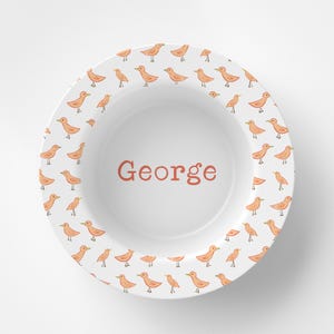 Custom Personalized Bird Kids Bowl / Plate Bowl Set / Kids Polymer Tabletop Dinnerware / Melamine and BPA Free