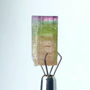 Natural Top Quality Tricolor Tourmaline Crystal | Rare Afghan Gemstone | Collectible Raw Crystal
