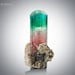 Profilbild von MineralMan124