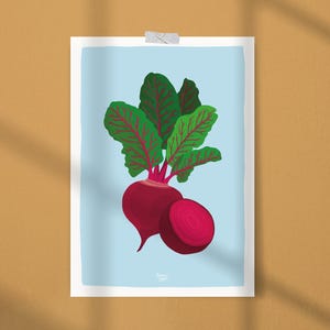 Beetroot printable for modern farm house, Vegetable beet printable poster for nutrition office decor, Boho botanical beetroot illustration