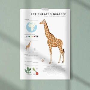 Educational giraffe printable with animal facts, Educational safari infographic poster for playroom decor, Cute biology digital download
