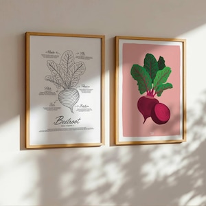 Puede incluir: Dos láminas enmarcadas con remolachas. Una lámina es un diagrama en blanco y negro de una remolacha con etiquetas y la palabra "Beetroot". La otra lámina muestra una remolacha con hojas verdes sobre un fondo rosa.