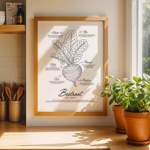 Könnte beinhalten: Ein gerahmter Kunstdruck mit einer schwarz-weißen botanischen Illustration einer Rote Bete, mit Beschriftungen, die ihre Nährwerte detailliert beschreiben. Das Wort "Beetroot" steht darunter.
