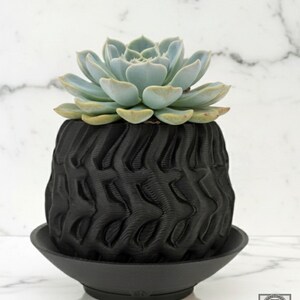 Edition 006 – Terra Carrara (US) | Geometric Art Planter for Rare Succulents Grown with Care