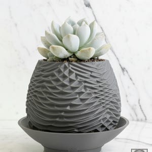 Edition 004 – Terra Carrara (US) | Geometric Art Planter for Sculptural Succulent Displays