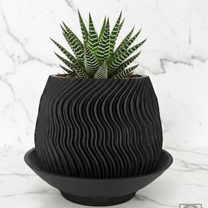 Edition 011 – Terra Carrara (US) | Curved Ridge Desk Planter for Rare Succulents and Collector Shelves