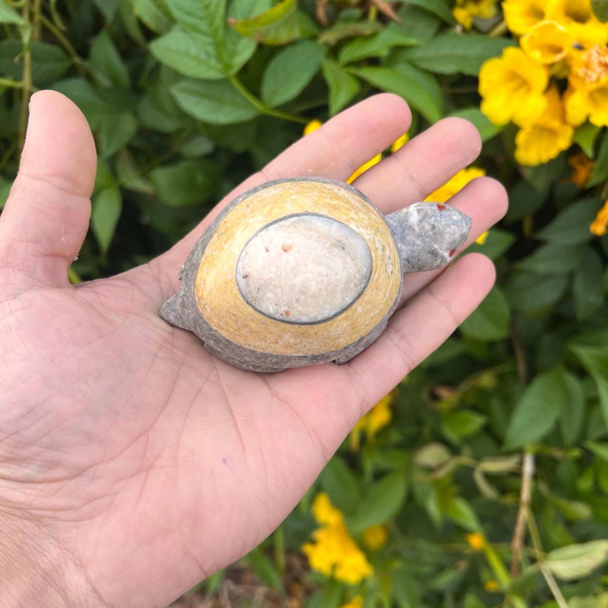 Marble turtle - Etsy Polska