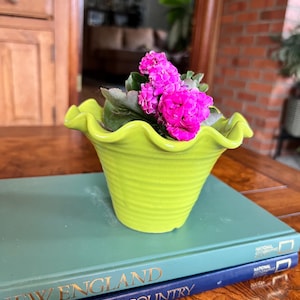 May include: A bright green, ruffled-edge ceramic planter filled with vibrant pink flowers. The planter sits atop two books with gold lettering, creating a colorful and eye-catching display. The books are titled "New England" and "Yellowstone Country".