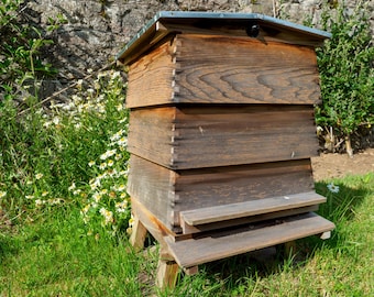 Plan de colmena DIY: Compatible con colmenas Langstroth y Flow (Guía en PDF)