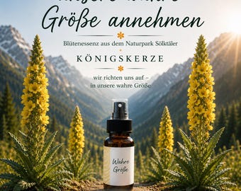 Blütenessenz | Königskerze | wahre Größe | Bachblüten - Spray | alpine Bergblüten | Entschlossenheit