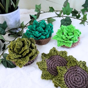 May include: Crocheted succulent plants in shades of green and brown, arranged on a white surface. The image includes three potted succulents and two sunflower-shaped coasters, all handmade. Decorative ivy and a potted plant are in the background.