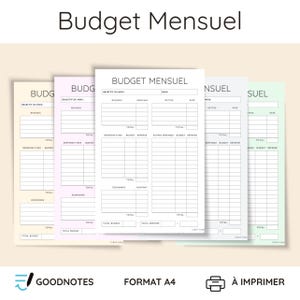 Monthly Budget Planner to print or use in Goodnotes | Organization | Expense Tracking | Instant Download