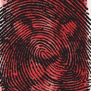 Switchfoot & Anberlin Summer Tour 2011 - Limited Edition Silkscreen Poster - Hand Printed by Reedicus