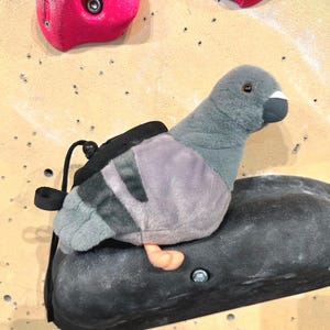 Op de afbeelding: Een pluche pufzak in de vorm van een duif, gemaakt van zachte grijze stof met een zwarte ritssluiting op de rug en kleine oranje pootjes. De vogel heeft een donkere snavel met een witte punt en donkere ogen, ontworpen voor klimuitrusting.
