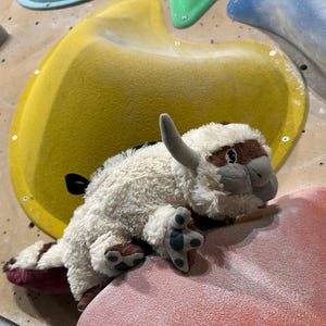 Pode incluir: Um brinquedo de pelúcia branco e marrom em forma de iaque, com rosto cinza e olhos castanhos, está sentado em uma parede de escalada vermelha. O brinquedo está em uma pega de escalada vermelha e cinza.