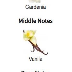 May include: Image showing the top, middle, and base notes of a fragrance. Top notes include a white gardenia flower. Middle notes feature a vanilla flower and bean. Base notes show a piece of amber. Text reads "Top Notes", "Middle Notes", and "Base Notes".