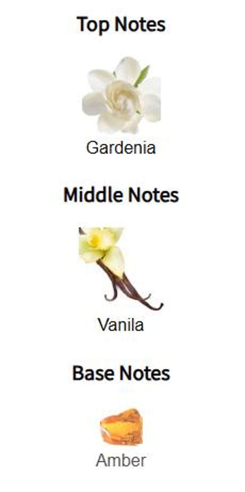 May include: Image showing the top, middle, and base notes of a fragrance. Top notes include a white gardenia flower. Middle notes feature a vanilla flower and bean. Base notes show a piece of amber. Text reads "Top Notes", "Middle Notes", and "Base Notes".