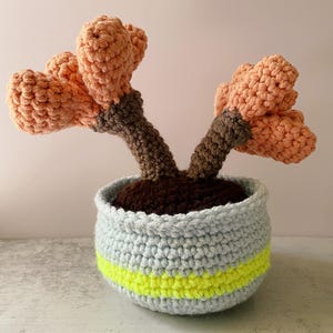 Succulent Amigurumi Crochet Plant - Handmade Housewarming, Thank You, Plant Lover, or Birthday Gift