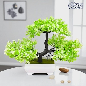 Faux Plants, artificial plants, Artificial Bonsai, Faux Plant, bonsai tree, Fake Plants, Silk Plants, home decor, Small Space Decor, table decor, room decor, modern home decor, bonsai pot, gift for her, Realistic artificial bonsai tree in decorative pot, available in small or large. Made of plastic, perfect for tabletop, desk, or shelf decor. Low-maintenance faux plant for minimalist, modern, or Zen-inspired spaces. Great for home, office, or gift-giving. Lightweight and durable design for long