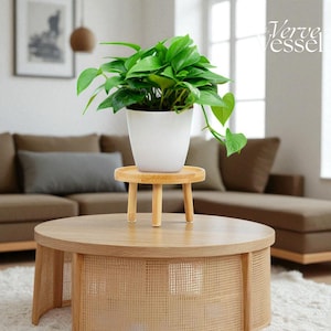 May include: A white potted plant with vibrant green leaves sits atop a small, round, light-brown wooden plant stand. The stand has three short legs. The plant and stand are on a round wooden coffee table with a woven base.
