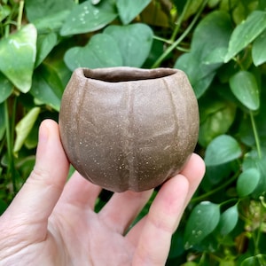 May include: A small, brown ceramic planter with a pumpkin-like shape. The planter has vertical grooves and a rounded body. The opening is smooth and unglazed. The background features green leaves.