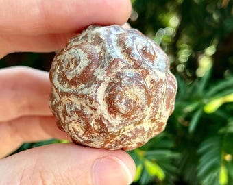 Fire Frosted Swirl Stone Ceramic Rattle // Handmade Abstract Expressionism Sculpture