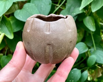 Round Ceramic Bud Vase // Handmade Rustic Stoneware Pottery