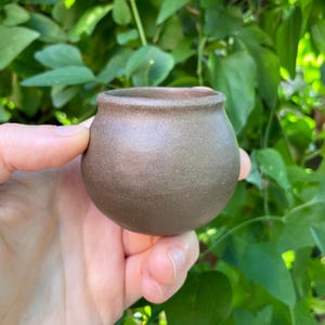May include: A small, round, brown ceramic pot with a textured surface. The pot has a slightly flared rim and is held in a hand against a backdrop of green foliage. This handcrafted pot is suitable for small plants or succulents.