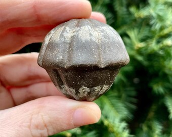 Striped Earthen Acorn Ceramic Rattle // Handmade Sculpture