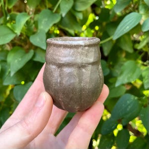 May include: A small, handcrafted ceramic pot with a textured, speckled surface. The pot is a muted brown color with a slightly iridescent sheen. The pot has a rounded body and a slightly flared rim. The background is blurred green foliage.