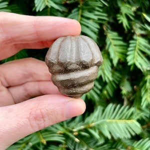 May include: A set of three ceramic mugs with a speckled, matte finish. The mugs are in shades of blue, green, and white. Each mug has a simple, modern design, perfect for coffee or tea.