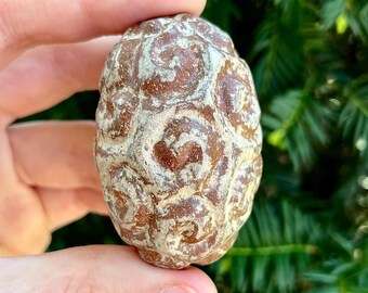 Frosted Swirl Egg Ceramic Rattle // Handmade Abstract Expressionism Sculpture