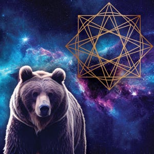 Galaxy Bear