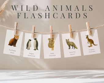 Wild Animal Flashcards Printable – Montessori Nature Cards for Kids – Around the World Safari Animals – Educational Preschool Set