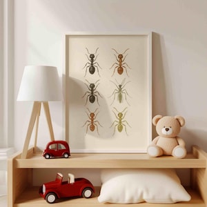 May include: A framed print featuring six detailed illustrations of ants in various colors, including black, brown, and green, against a cream background. The artwork is displayed on a wooden shelf with a red toy car, a lamp, and a teddy bear.
