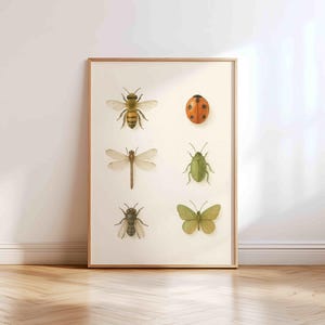 Insect Poster for Kids – Montessori Bug Chart, Printable Science Wall Art, Nature Learning Decor for Nursery or Homeschool